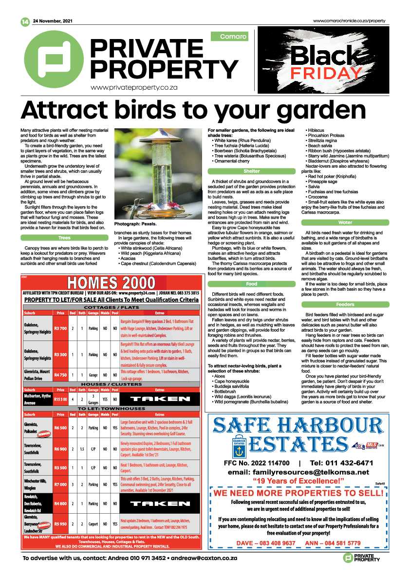 Comaro Chronicle 24 November 2021 page 20