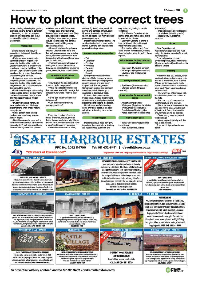 Comaro Chronicle 2 February 2022 page 11
