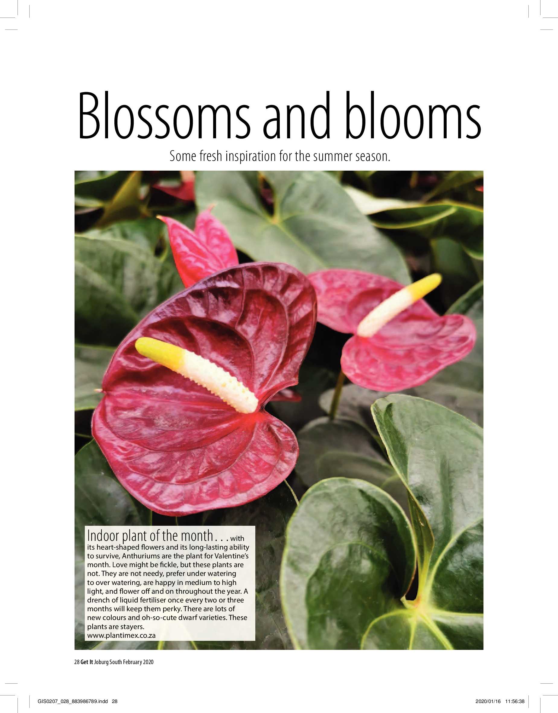 Get It Joburg South February 2020 page 28