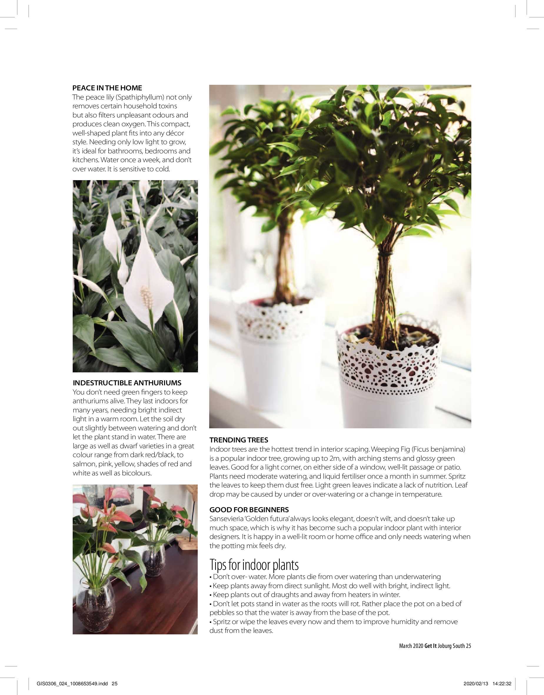 Get It Joburg South March 2020 page 25