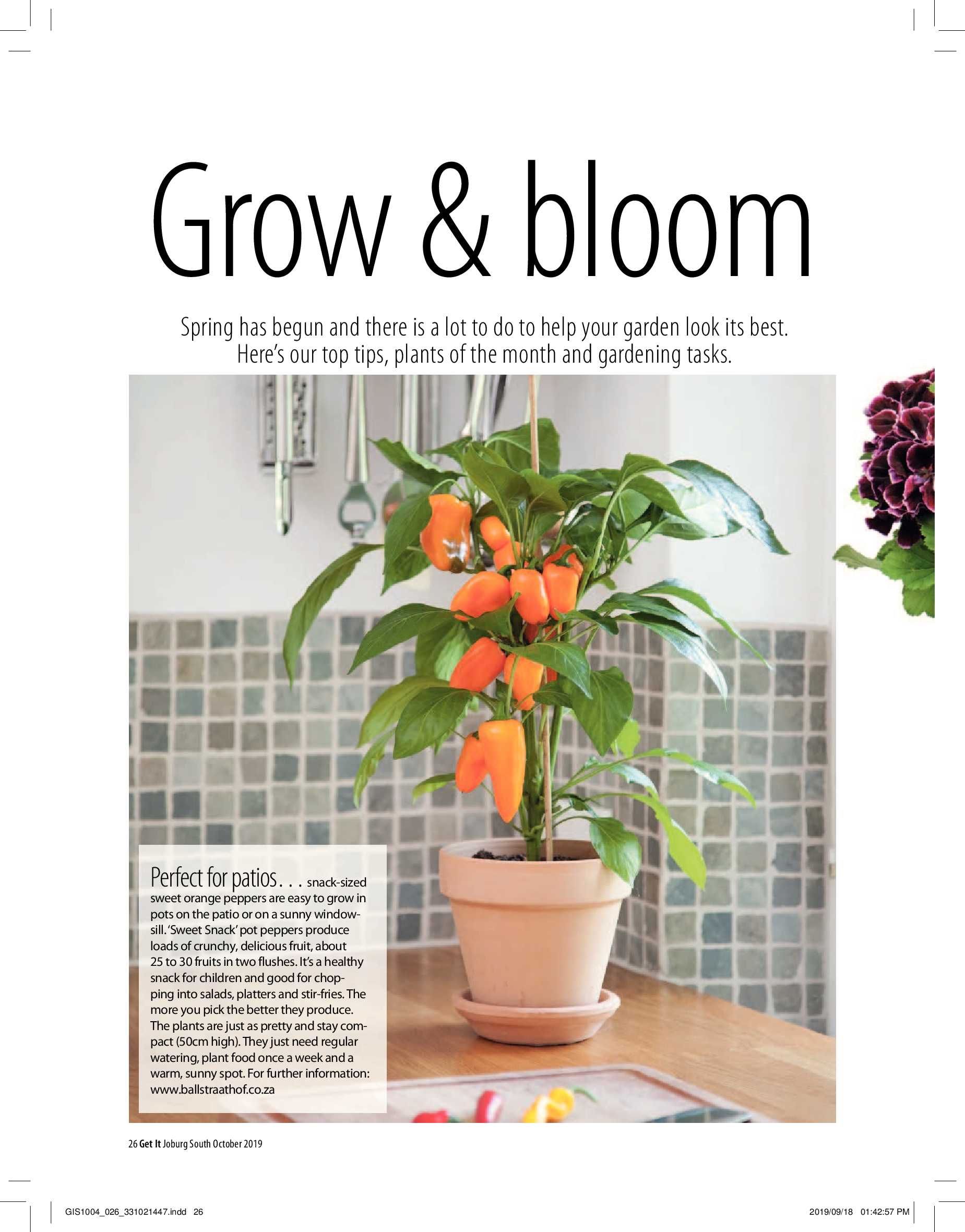 Get It Joburg South OCTOBER 2019 page 26