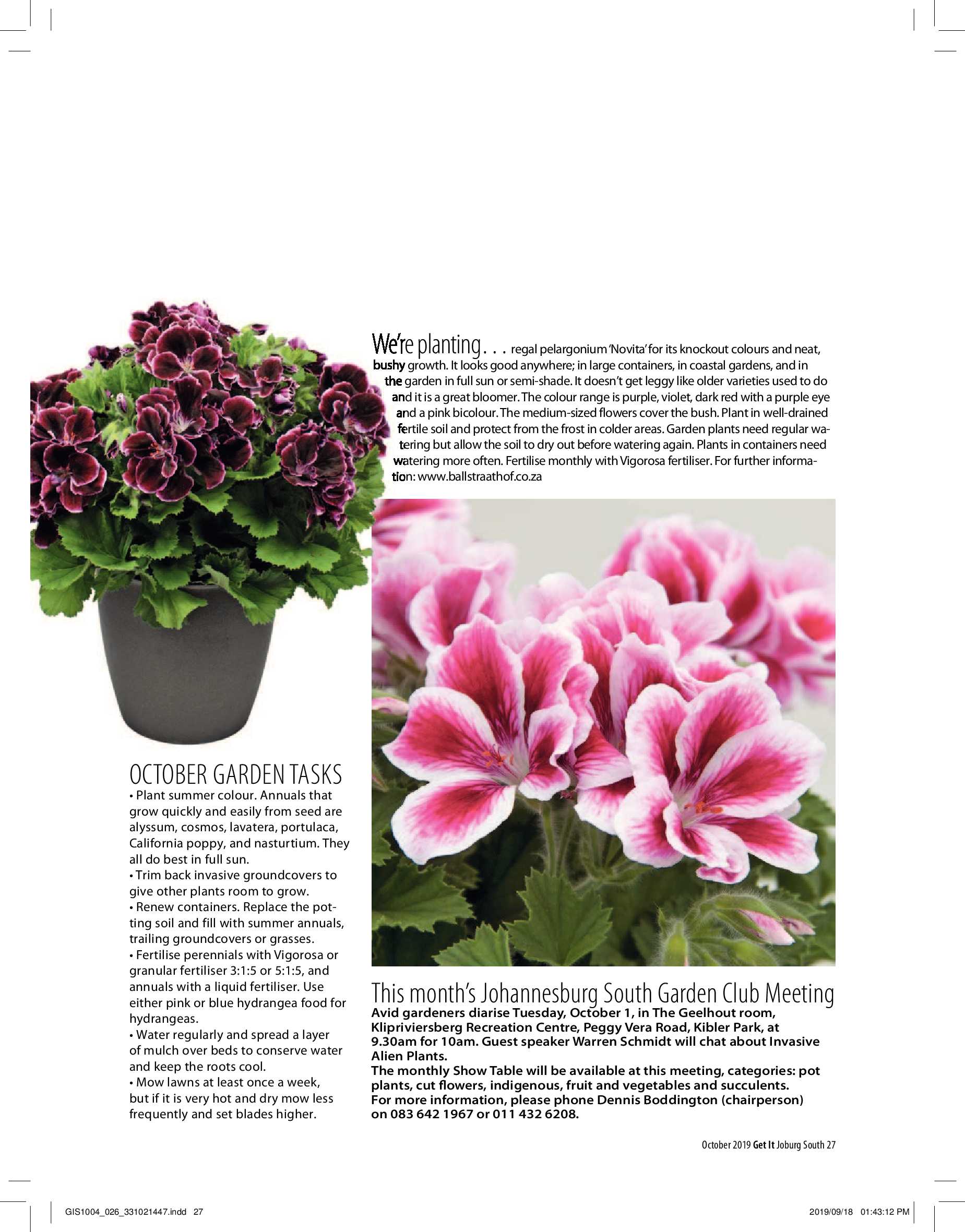 Get It Joburg South OCTOBER 2019 page 27
